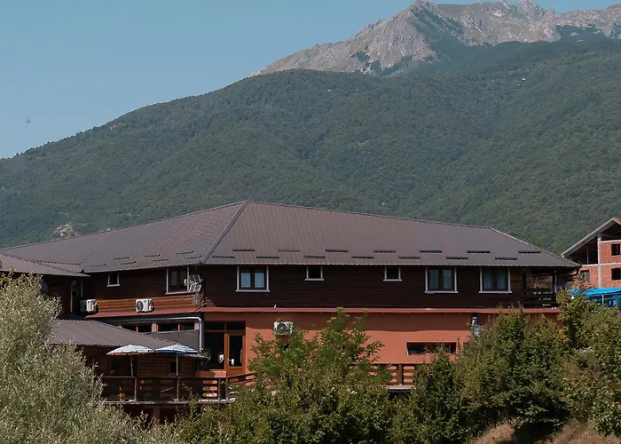 Avdi Rexha * Bajram Curri